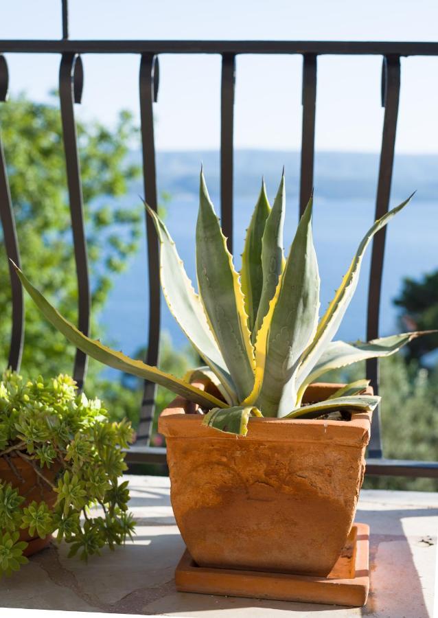 Villa Anima, Stanici, Near Omis المظهر الخارجي الصورة